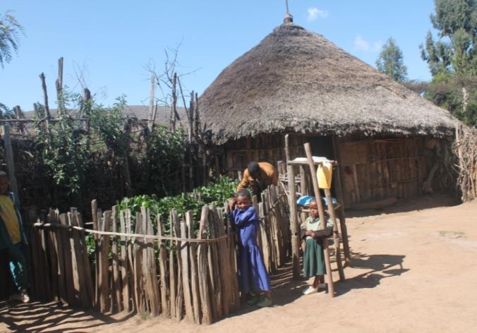 Voortgangsrapportage januari-juni 2016 Vrouwenproject Ethiopië Farmer Households Empowered through Women project Projectperiode : 1 juli 2013 tot en met 30 juni 2017 Send a Cow Ethiopië werkt samen