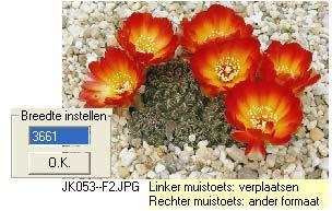 Door het toevoegen van foto s wordt de ruimte voor de landkaart kleiner.