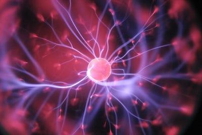 De hersenen Grijze stof zenuwcellen (neuronen) met uitlopers de uitlopers geven signalen door aan andere cellen In de jonge jaren neemt de grijze stof toe en worden veel verbindingen gelegd.
