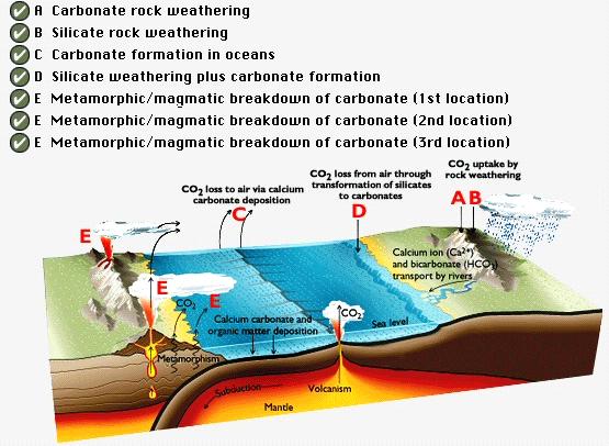 Achtergronddocument Klimaatverandering B) Verwering van silicaten: 2 CO 2 + H 2 O + CaSiCO 3 ----> Ca 2+ + 2HCO - 3 + SiO 2 C) Vorming van carbonaten in de oceaan: 2HCO - 3 + Ca 2+ ----> CaCO 3 + CO