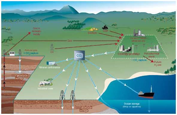 Achtergronddocument Klimaatverandering van CO 2 in biomassa op land en in zee ('biological' en 'terrestrial storage'), en het chemisch binden door interactie met reactieve mineralen of (afval)stoffen