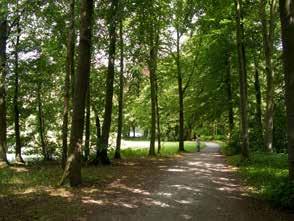 Informeel vormgegeven straatjes waaraan diepe groene