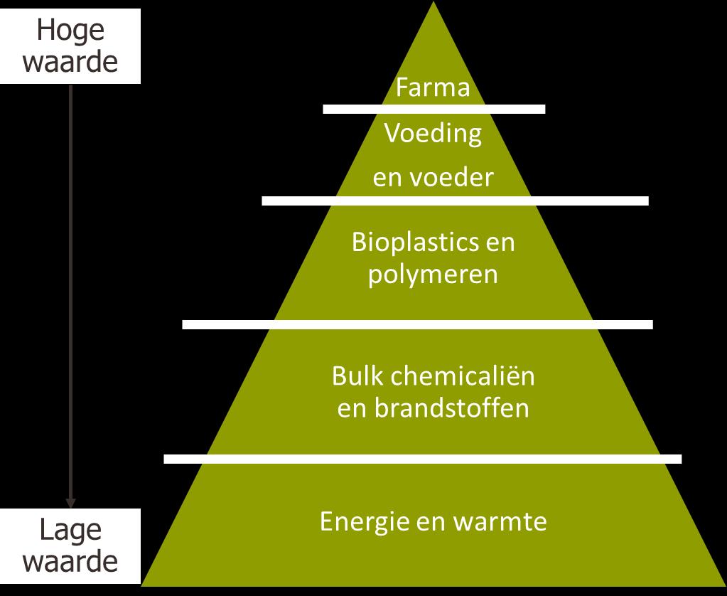 1 INLEIDING Ruwe biomassa bestaat uit verschillende componenten, zoals: eiwitten, oliën en vetten, koolhydraten en suikers.