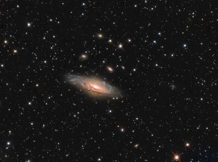 NGC 7331 Deer
