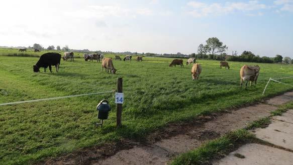 Samenvatting Voor wie door wie Het project Huiskavel weiden is uitgevoerd door Wageningen Livestock Research in samenwerking met Dairy Campus in Leeuwarden en Kennis Transfer Centrum Zegveld.