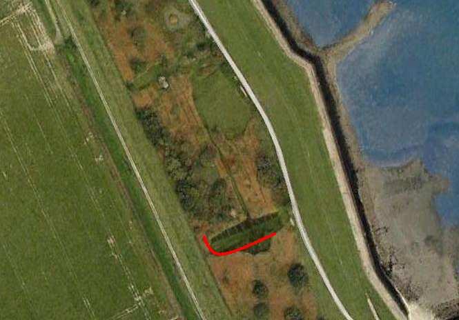 De Longworthvallen (LW): 751-775 stonden langs de kade kort bij het water en in de rietzoom aan de zuidzijde. Fig. 8. Heerenpolder West: raai 7.