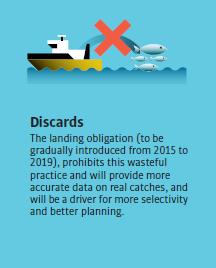 Door de aanlandingsverplichting wordt een verspillende praktijk, de teruggooi ( discarding ), verboden. De aanpak van de teruggooi is één van elementen van een duurzaam visserijbeleid.