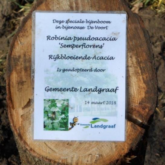 Stap 1: adoptie bomen bijenoase, voorjaar 2018 Bij wijze van aftrap zullen de bomen die geplant zijn in de in Landgraaf dit voorjaar aangelegde 3 bijenoases in elke wijk 1 - ter adoptie worden