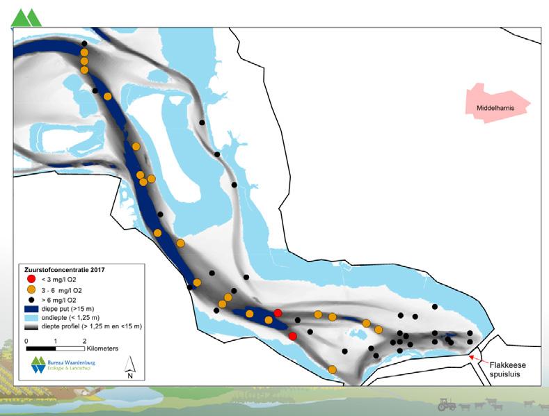 Figuur 3. De zuurstofconcentratie bij de Flakkeese Spuisluis is in 2017 verbeterd De kwaliteit van het bodemleven is, via allerlei relaties, van invloed op de vis- en (visetende) vogelstand.