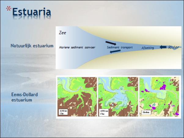 2.2.1 Ontwikkeling en werking Eems-Dollard estuarium Eems-Dollard estuarium in perspectief 12 Figuur 2.3 Vergelijking natuurlijke estuaria en het Eems-Dollard estuarium.