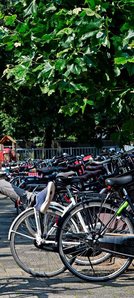 De gepeste leerling zien wij niet als slachtoffer of zielig en de pester zien wij niet als slechterik of dader. We zoeken naar respectvolle oplossingen als problemen zich voordoen.