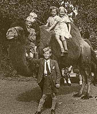 De kinderen van Piet de Vries en Trijntje Stuifbergen, staand: Jan; zittend op de kameel v.l.n.r.: Ton, Pé, Annie en Nelly.