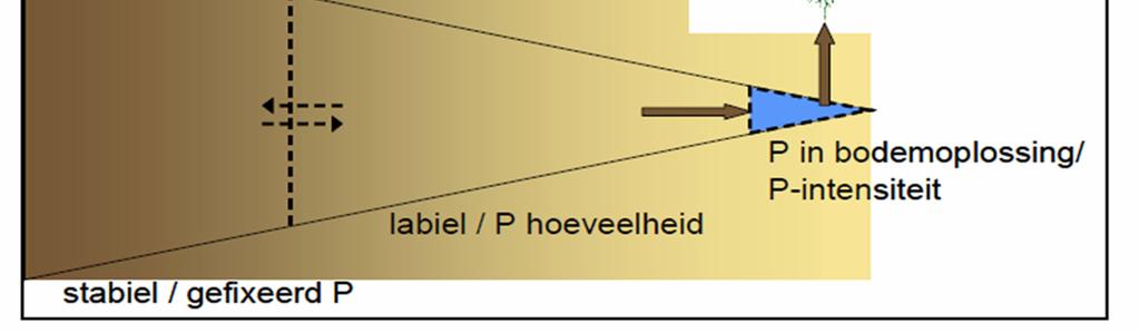 2000 kg P 2 O 5 /ha