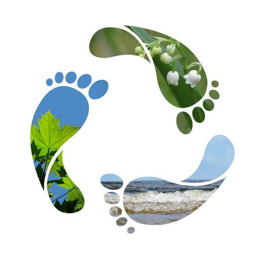 Carbon Footprint Rapportage 1e helft 2015 Versiedatum: 23 oktober