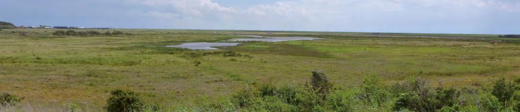 Maatregelen om de Natura 2000-doelen op Ameland te behalen Verstuiving in de duinen stimuleren Plaatselijk zal de bodem van de duinen een stukje worden afgegraven en los worden gemaakt.