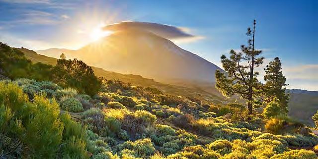 Het momentum van ABAMA in uitbreiding LUXURY RESIDENCES brengt een nog meer geraffineerde levensstijl naar het zonnige Tenerife.