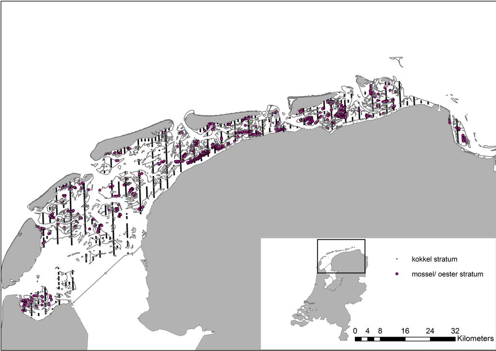 Figuur 4: Monsterlocaties ten behoeve van de bestandopname van mosselen en oesters in de Waddenzee in 2018.