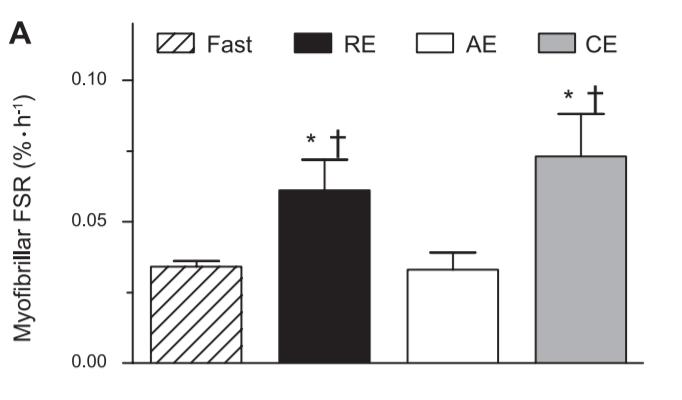 Spiereiwitsynthese na concurrent training PLA PRO Donges et al (2012) Journal of