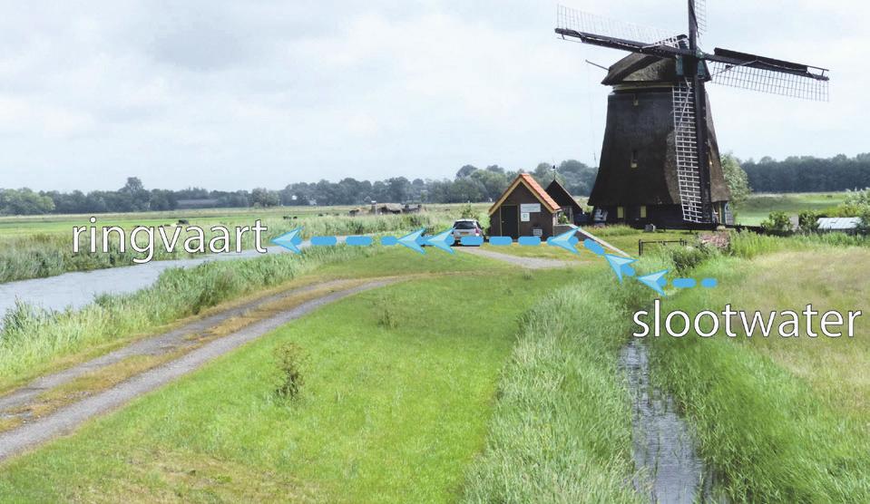 Opdracht 2 Duinen en dijken beschermen tegen het water Duinen en dijken beschermen een