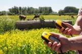 GPS tocht wandelen Op uw eigen tempo een schitterende wandeling door de verrassende omgeving van de Berendonck. Ac#viteit: Verschillende wandelroutes mogelijk. Inbegrepen: GPS-ontvanger.