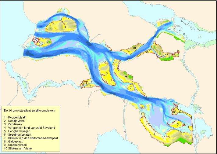 1. INLEIDING 1.1. Aanleiding Sinds de aanleg van de stormvloedkering in de jaren 80 stroomt er minder water in en uit de Oosterschelde.