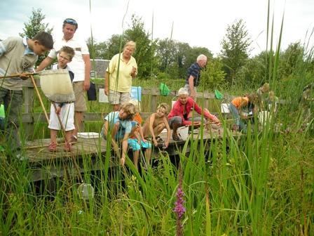 (W)onder- water-wereld Op ontdekking in de (w)onderwaterwereld van schaatsenrijders, rug zwemmertjes en ander onderwaterleven.