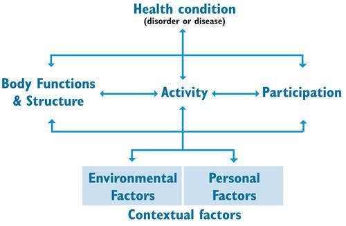 ICF model