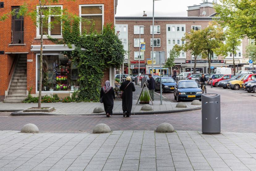 werkeloosheid Heavy users Eenoudergezinnen/ tienermoeders Veel zorg mijders