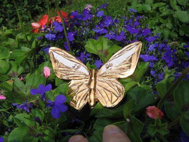 De secties zijn de teleenheden. De vlinderroutes worden in het vliegseizoen van de meeste vlinders (1 april tot 1 oktober) ten minste één keer per week gelopen, als het weer het toelaat.