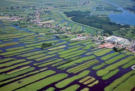 Samen voor onze leefomgeving Het CDA pleit voor meer aandacht voor een schone leefomgeving.