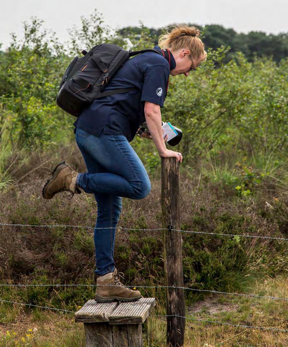 14 Loop terug naar het zandweg en vervolg de route tot u links een bank naast het pad ziet.