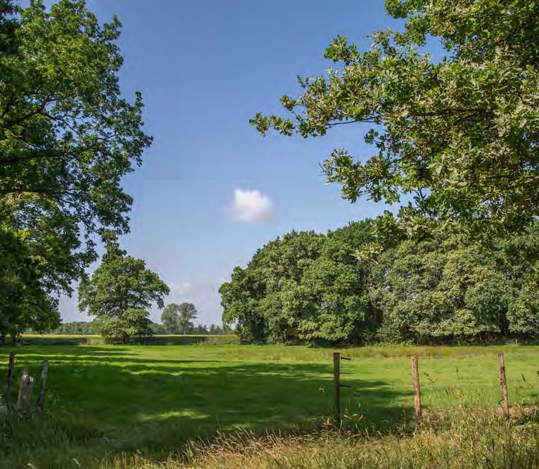 4 Voordat het zandpad iets naar links afbuigt, ziet u links een lager gelegen weiland met een bosje erachter, deze laagte wordt het Egelmeer genoemd. De naam Egelmeer heeft niets met egels te maken.