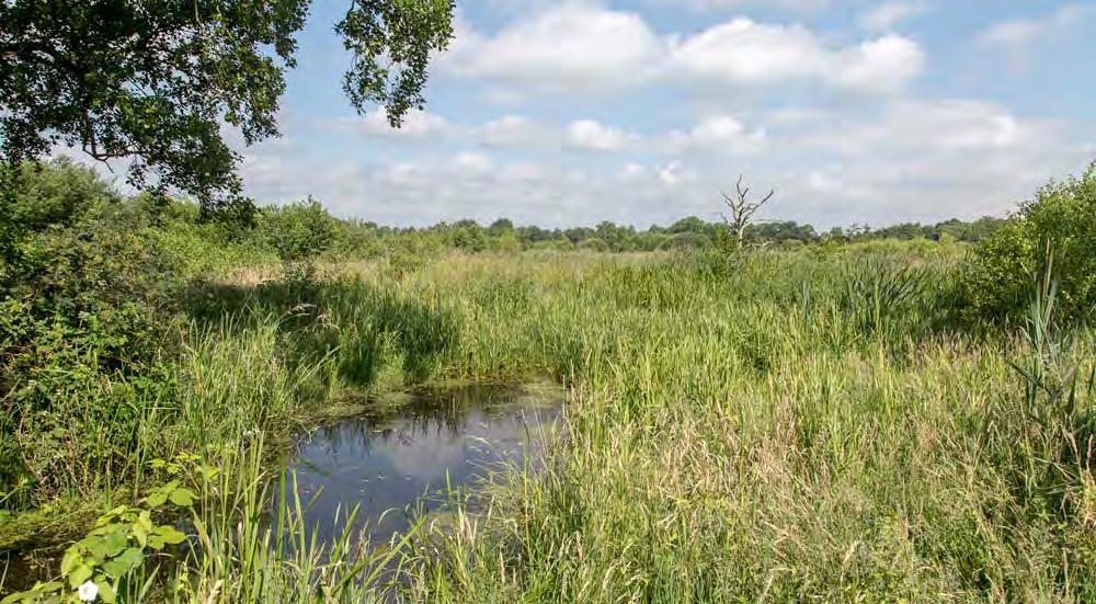 6 Aan het eind van het zandpad op de T-splitsing gaat u rechtsaf.