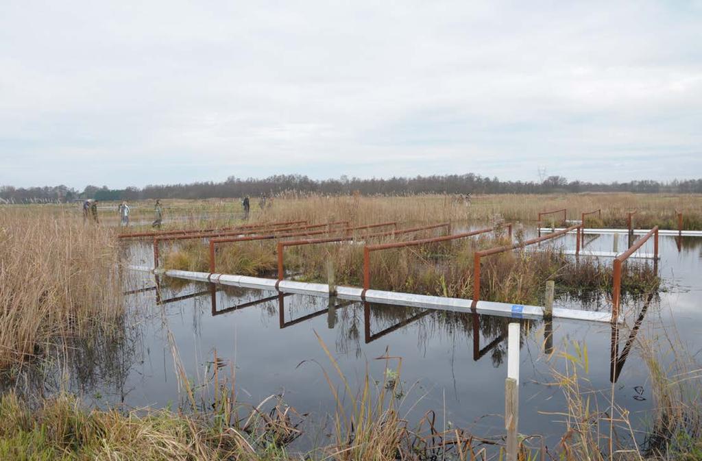 4 Winnie Rip sturen met water in de Ankeveense Polder Het water in de Hollands Ankeveense Polder wordt op een vast peil van -1,41 meter gehouden en bij het gemaal continu geregistreerd.
