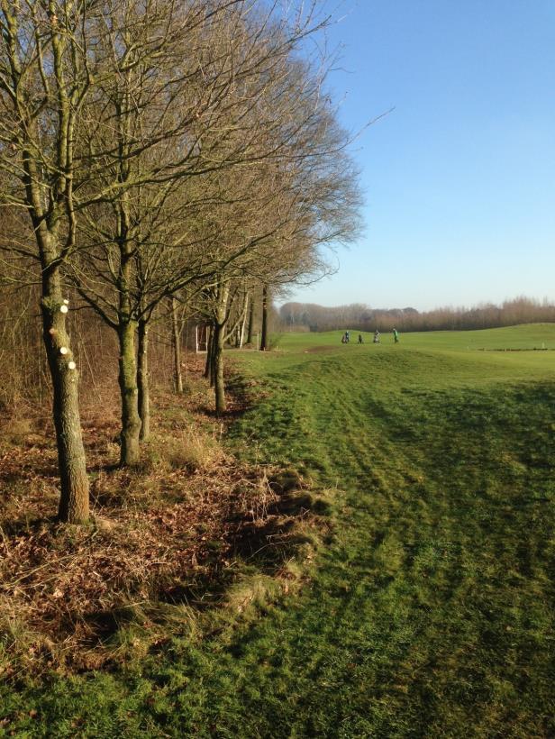 Hole 12 Door de gehele bosrand aan de rechterzijde van de fairway flink aan te pakken hebben we op sommige plaatsen 5 á 10 meter fairway terug gekregen van