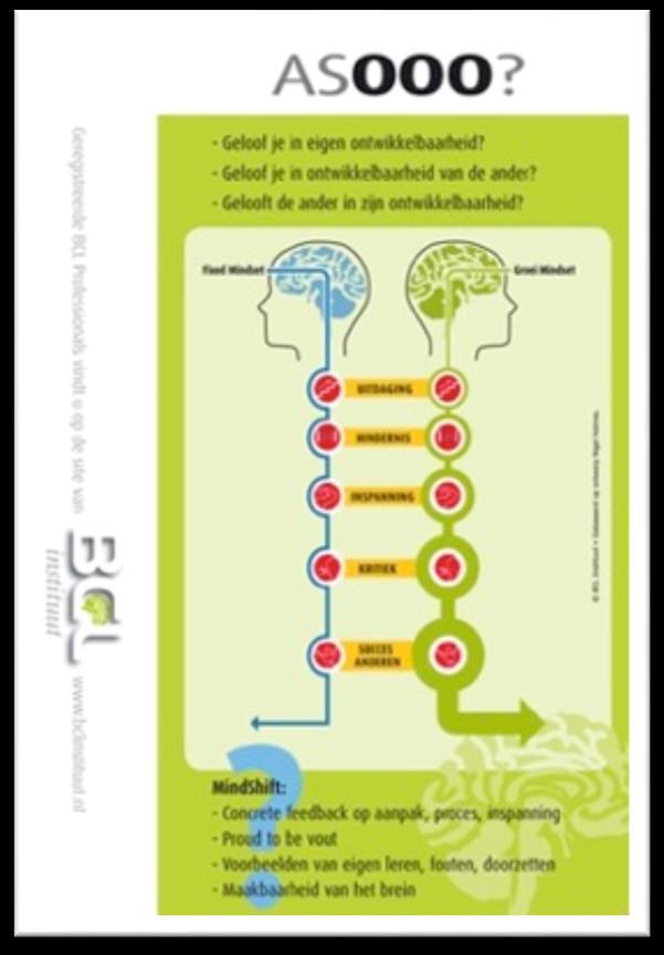 ASOOO - brein open voor leren Overtuiging over