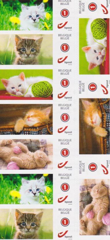 Katjes (door D.T.K.) Sinds 2 februari 2016 kan je in de postkantoren een nieuwe reeks "Katjes' verkrijgen.