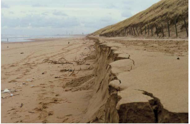 Bij storm kunnen golven die tegen de duinen aan beuken met het grootste gemak delen van het duin wegslaan (Bron 11 en Bron 12).