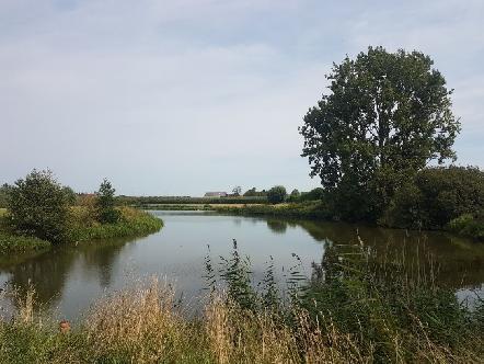 De Schoendalebocht en Oude Leie Sint-Baafs-Vijve liggen beide in de omgeving van Waregem. Het Waggelwater ligt in Gent.