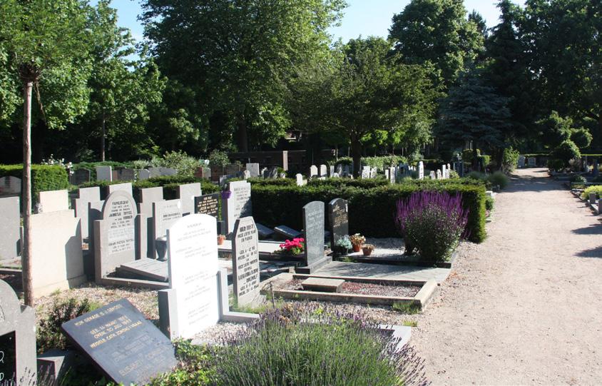 Wat is een particulier graf In een particulier graf (ook wel eigen graf of familiegraf genoemd) kunnen twee of drie (verwante) overledenen of maximaal vijf asbussen worden begraven.