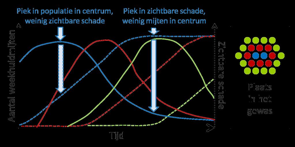 Wanneer je schade ziet is het te laat