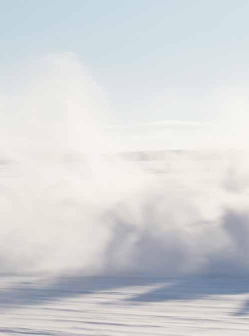 DE WINTER KOMT ER AAN Regenachtige dagen, mist, sneeuw en strenge vorst, het winterse seizoen kent veel uitdagingen.