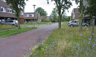 gemeente Koopkracht Stompwijk groeit Veel particulier eigendom,