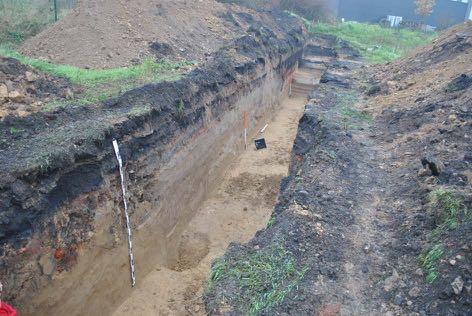 Archeo-rapport 202 Het archeologisch onderzoek aan de Sint- Truidensesteenweg te Tienen Michiel