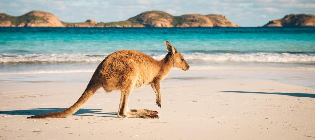 Het is van 28 mei 1999 geleden dat Australië als wijnland op onze club voorbijkwam. Ik herinner me deze wijnavond nog levendig (locatie La Feuille d Or gastspreker dhr.