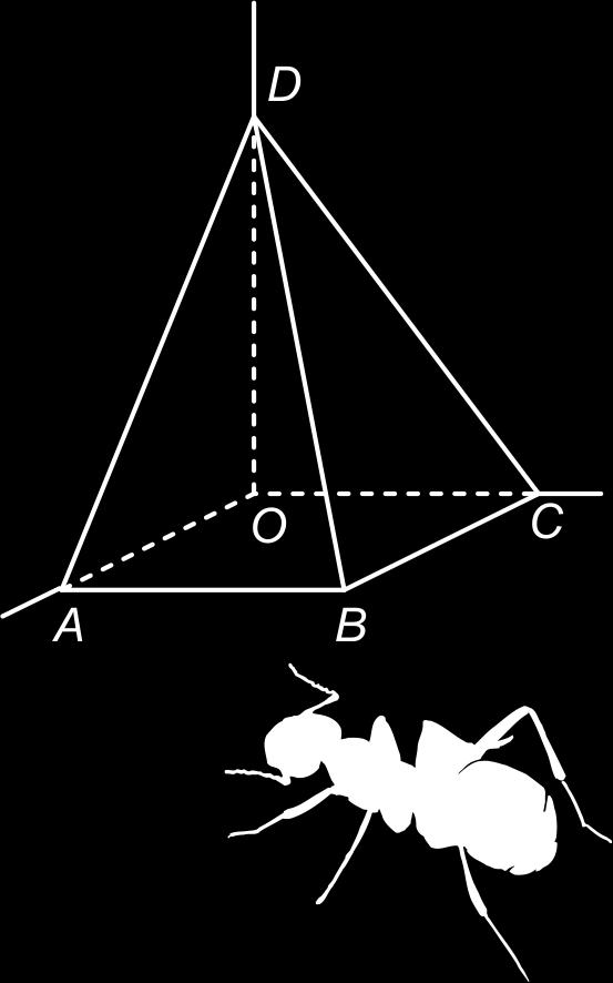 3.10 Extra opgaven 9 ABCO.T is een piramide met A (6,0,0), B (6,6,0), C (0,4,0), en T (0,0,10). a Geef een pv van de snijlijn van de vlakken OAT en BCT Hint 21. b Bereken de coördinaten van P.