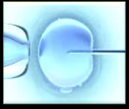 Geschiedenis IVF/ICSI/cryo: ICSI: Techniek ontwikkeld door Dr Gianpierro Palermo: onderzoekslabo