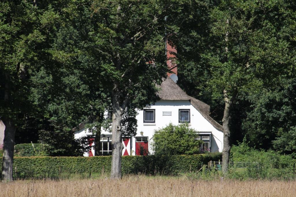 Het voormalige jachthuis in landgoed Vossenberg; op de voorgrond beuken langs de Bruntingerweg (Foto Eef Arnolds).