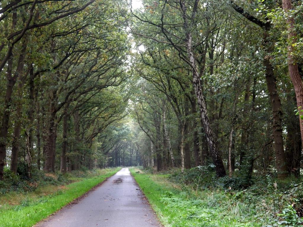 De lommerrijke Marsweg in deelgebied Zwiendiek (foto Eef Arnolds). Reigerveen en Altinghorst (zuidoost) Het Reigerveen is een zeer gevarieerd landschap met veel bos.