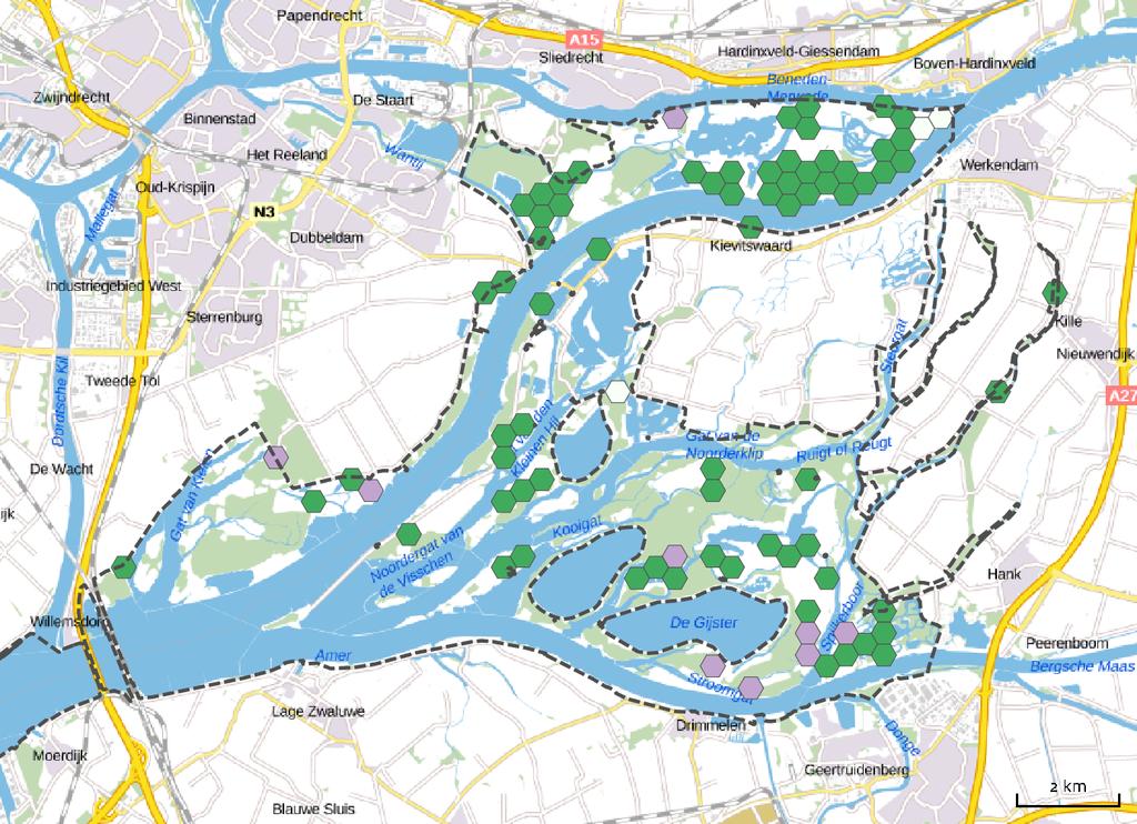 Ruimtelijk beeld van de stikstofoverbelasting Referentiejaar (2014) Mate van overbelasting tussen haakjes aantal hectares Geen stikstofprobleem (1145) Evenwicht